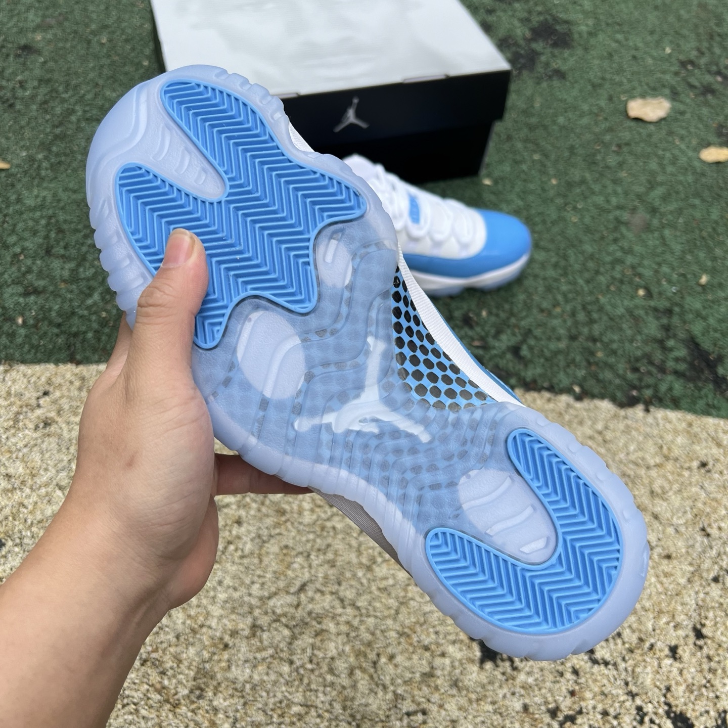 Nike Jordan shoe